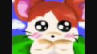 Hamtaro Theme Songopening