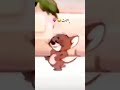 ستوري أريد ابجي على جويسم ابو الغيره المصمم حروث 