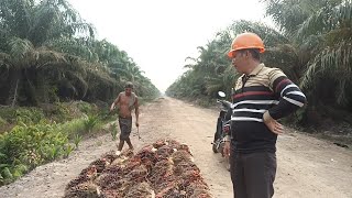 ditegur tangkai panjang, malah bawak parang😫😫