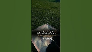 قران كريم #اكسبلور#القران #استغفرالله#القران #اكسبلور #يارب #لايك #القاريء #الصلاه #راحة_نفسية