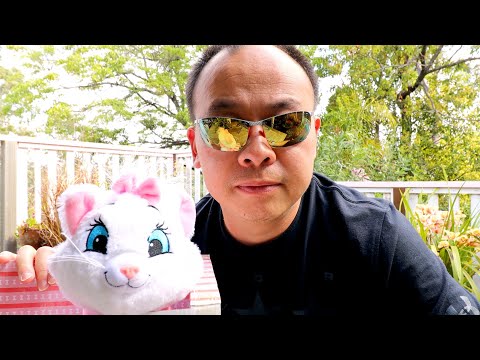 Limited Edition Disney plush from Australia Post!