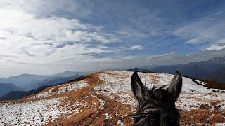 Horse Riding on Snowy Mountains