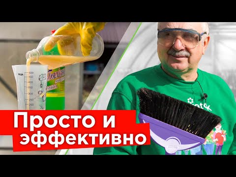 ЧЕМ ПОМЫТЬ ТЕПЛИЦУ ВЕСНОЙ, чтобы избавиться от болезней и вредителей? Просто, дешево, эффективно