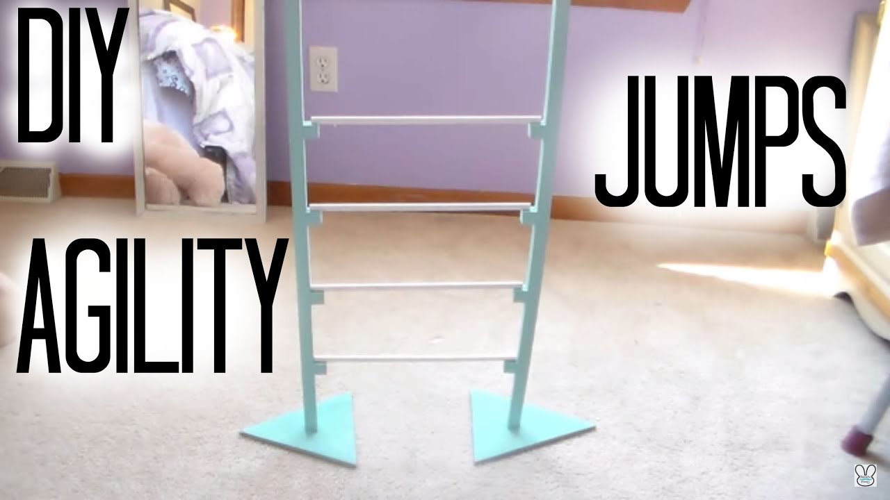 DIY Rabbit Agility Jumps YouTube