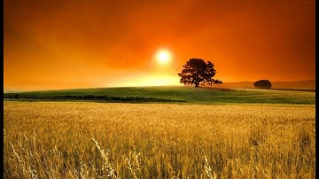 سورة طه  مشاري العفاسي عام 1426 هـ
