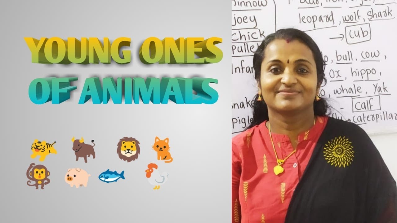 "Young ones of animal’s “🐈🐖🦘🐿🦄🐔 - YouTube