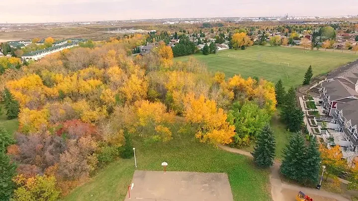Autumn Color at Anne Fitzgerald School