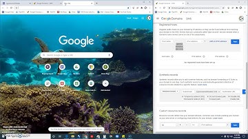 How to add a custom URL onto Google Sites (and how to get the www. to work)