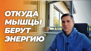 видео: Это надо знать для эффективной тренировки. картинка: Это надо знать для эффективной тренировки.