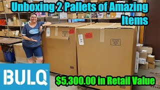 Unboxing 2 Pallets of Uninspected returns from Bulq.com Liquidation. Check it out!