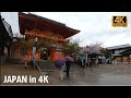 Rainy day in Kyoto. Cherry blossom in Yasaka Shrine. | Walk Japan 2021［4K］