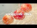 [playlist] 이거 틀면 분위기 달라집니다 ☕🌸 | Spring Cafe Vibes