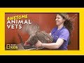 Veterinary Knowledge and Animal Features