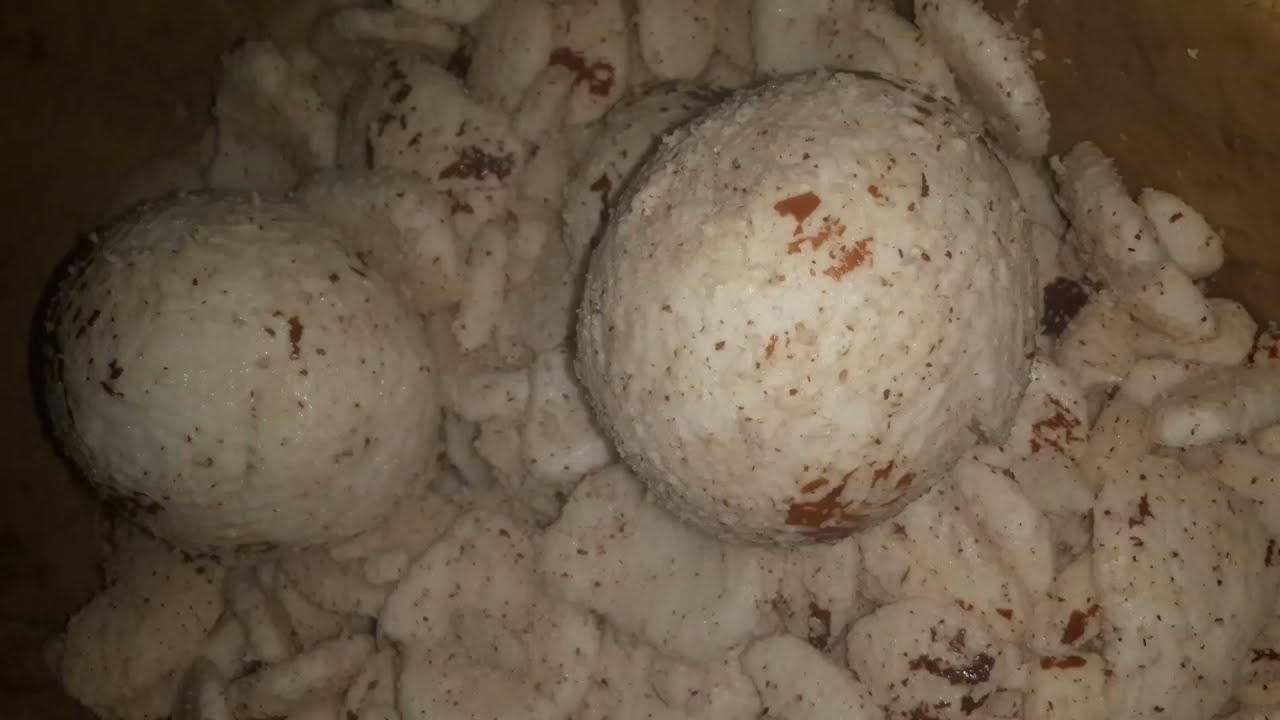 Coconut peeling machine India