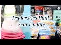 VLOG! TRADER JOES HAUL + SCAR UPDATE