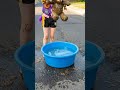 Oh No! Teddy Fell in the Mud 😱🧸 Clean-Up Rescue #shorts
