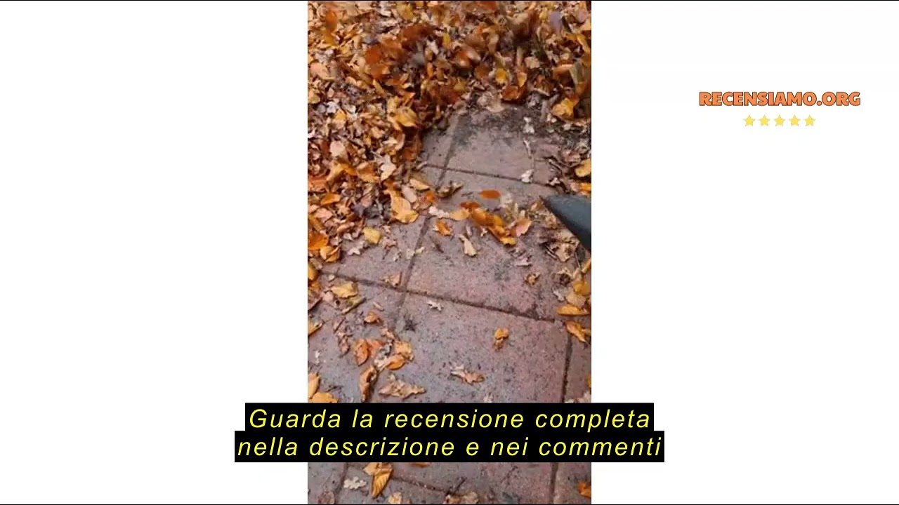 Carburatore Da 10 Mm Con Tubo Per Benzina Per Fuxtec FX-LB - Foto 11