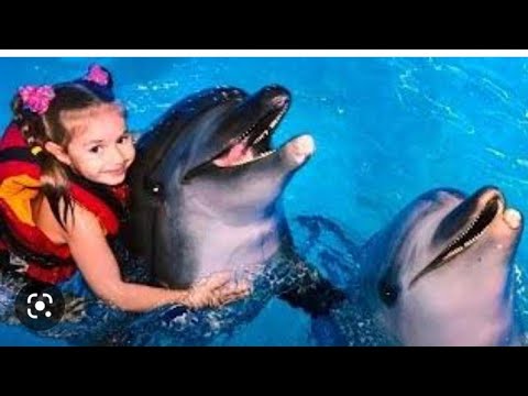 FASSARAR MAFARKIN KIFI DALFIN KIFI MAI TAIMAKON WANDA ZAI HALAKA ARUWA 