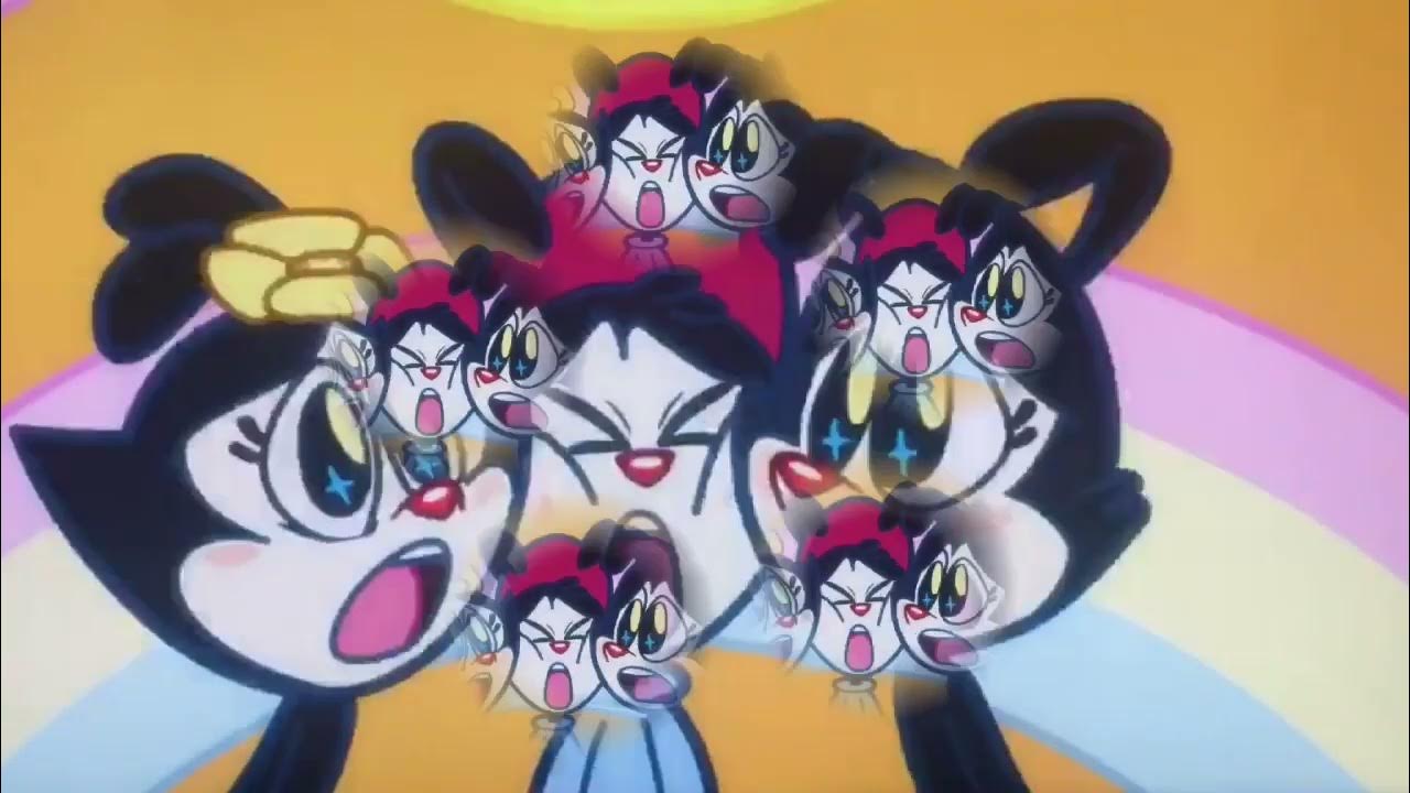 Animaniacs what if the world was cuter song colorful youtube