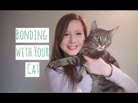 Comment Bond avec votre chat - Relations Cat