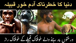 Korowai Tribe Worlds Most Dangerous Cannibal Tribe Urdu Doentary