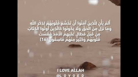 سورة الحديد ياسر الدوسري15الي 19 - سورة الحديد | بصوت القارئ الشيخ ياسر القرشى