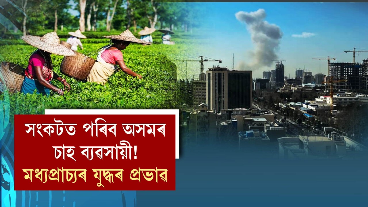 সংকটত পৰিব অসমৰ চাহ ব‍্যৱসায়ী!  মধ‍্যপ্ৰাচ‍্যৰ যুদ্ধৰ প্ৰভাৱ