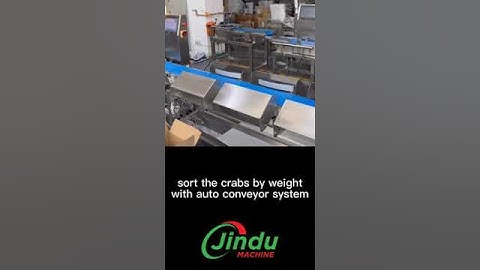 Revolutionize Crab Weight Sorting with AUTOMATED Feeding Systems!