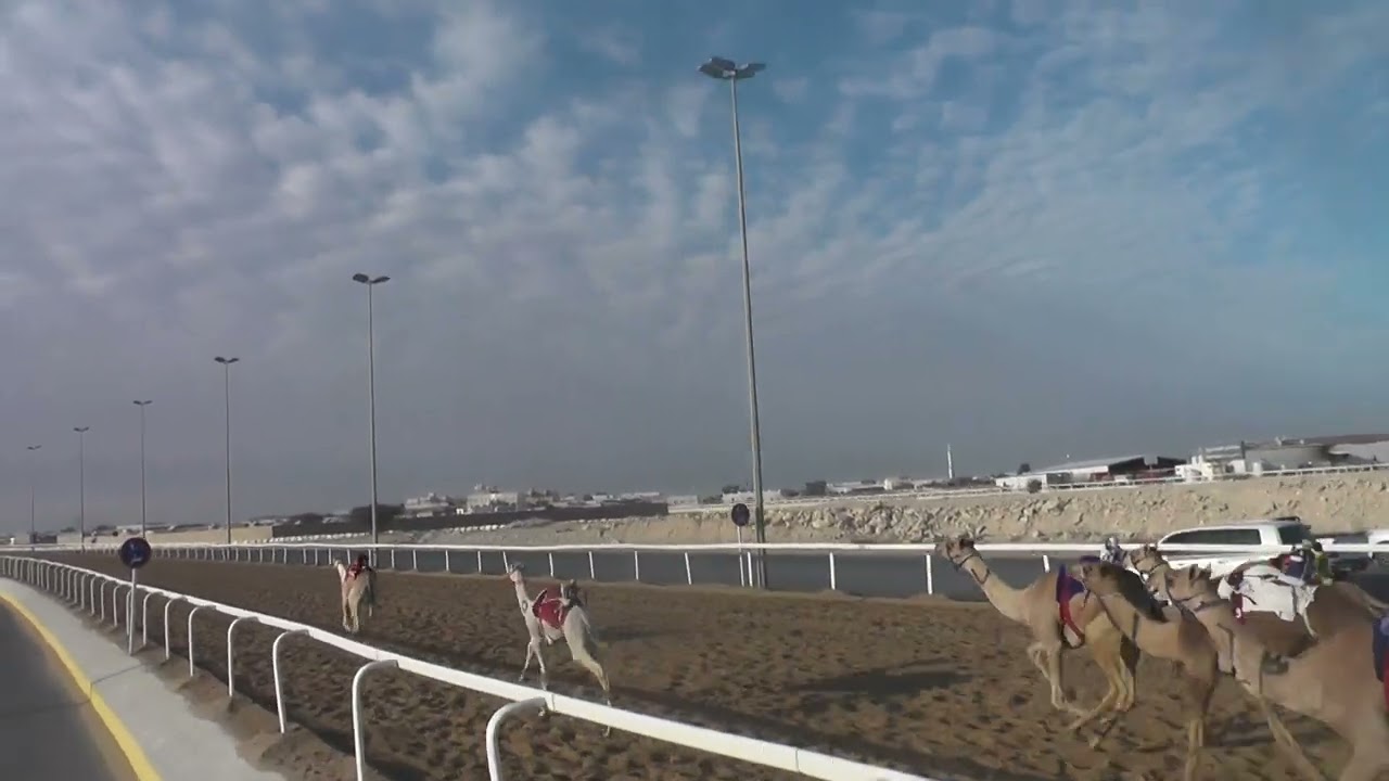 ش12/ صعوب / قعدان / عجيب / عبد الله سعيد الوهيبي   /01:53:01