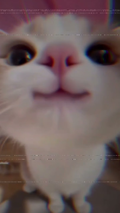 cat's viral vedio #trending #cat
