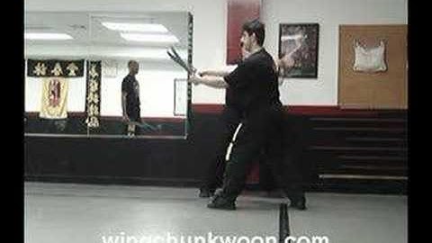 William Cheung Butterfly Sword lesson