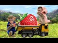Farmer Bim Bim harvest strawberry so funny