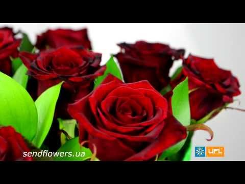 Красные розы. Заказать розы UFL / u-f-l.net