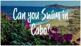 TOP Beaches for Swimming in Cabo San Lucas