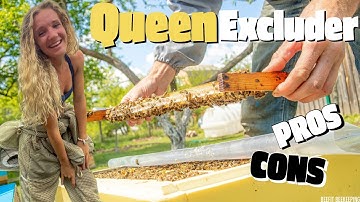 Should I Use A Queen Excluder Or NOT? / Beekeeping 101 #beekeeping #beekeeper #beekeeping101