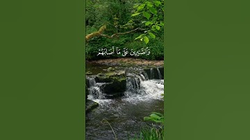 راحه نفسيه ❤🤍   #viral #ارح_قلبك #القرآن_الكريم #راحة_نفسية #تلاوة_خاشعة