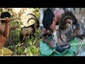 adventure in forest - Bezoar Ibex Hunting end cooking Eating delicious