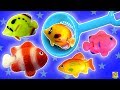 PESCARIA DE PEIXINHOS COLORIDOS no aquário! Brinquedos do Japão Peixes do Mar (お風呂で 熱帯魚 すくい)
