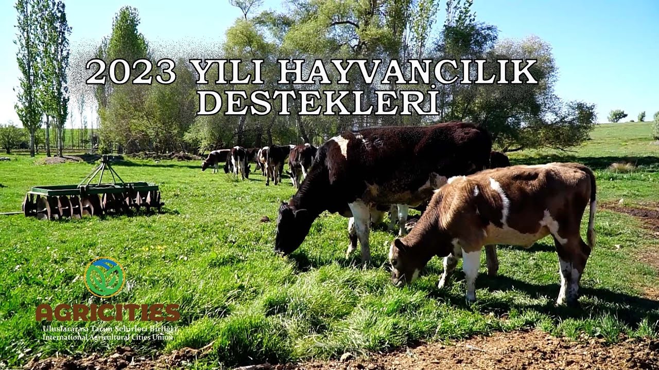 2023 Hayvancılık Destekleri
