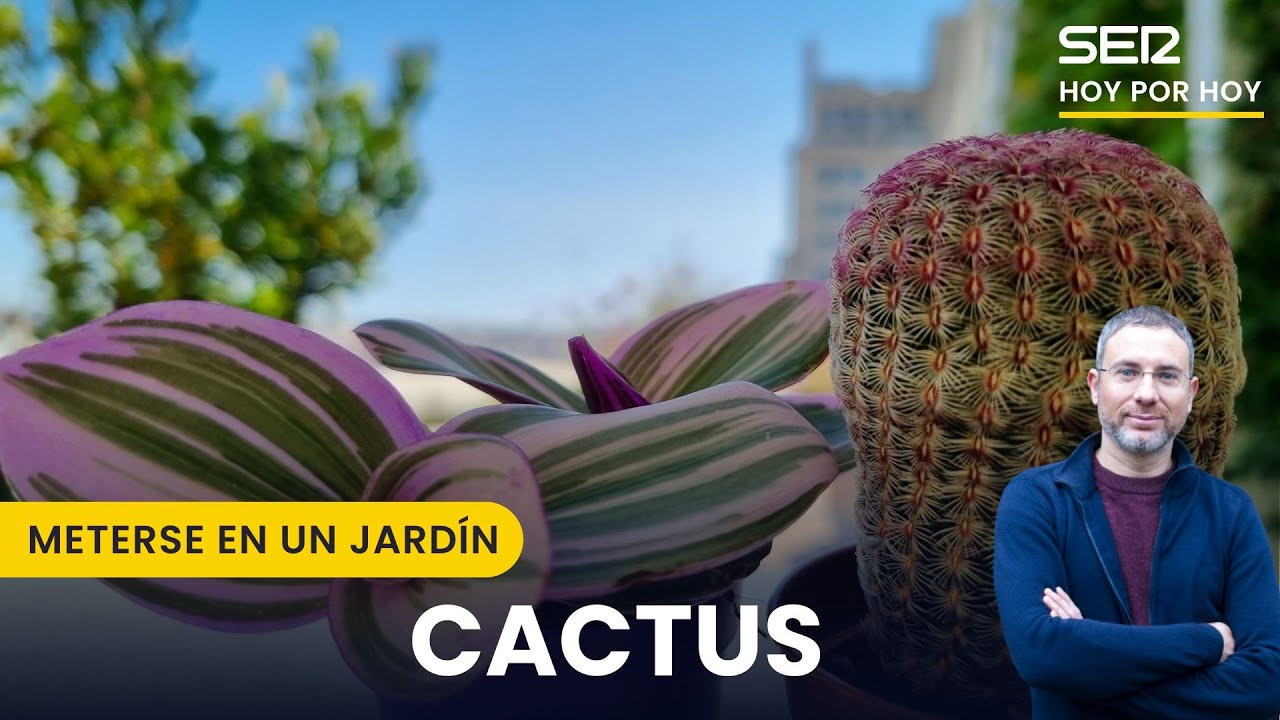 🌵El jardín pasa al estudio y cuidar los cactus en invierno | Meterse en un jardín, con Eduardo Barba