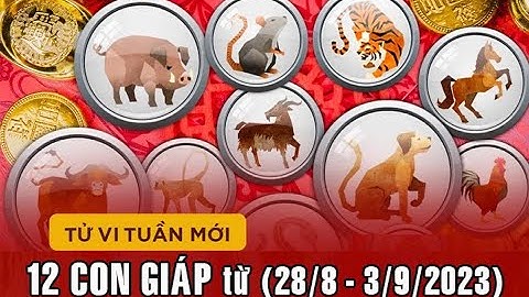 Tử vi Vận hạn tuần mới từ (28/8 - 3/9/2023) của 12 con giáp