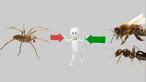 (القران الكريم يَهـزمُ أعـدائه ب-3 حشرات : النحل - النمل - العنكبوت (ترقـيم يـفوق قـدرة البـشر