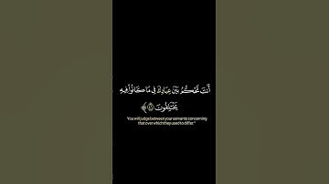 وإذا ذكر الله وحده✨سورة الزمر✨ ماهر المعيقلي✨ كروما قرآن كريم خلفية (شاشة) سوداء 🖤 #quran #المصحف