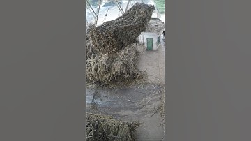 vận hành máy cẩu trong môi trường Công nghiệp