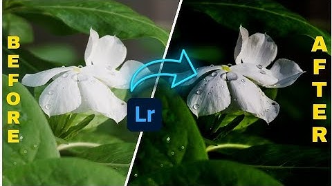 Lightroom PHOTO EDITING Tutorial | Beautiful Flowers | Black Moody | theAmritdev