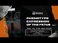 Phenotype expression of the fetus  teaser  afroasian institute of medical sciences