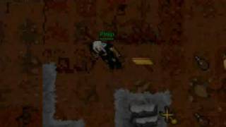 Tibia My first Dragon Hunt