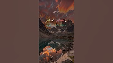قرآن كريم بصوت جميل سورة ال عمران #قرآن #قران #قران_كريم #المصحف #اكسبلور #حالات_واتس