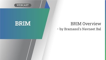 BRIM Overview Webcast - by Bramasol