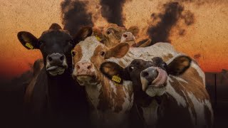 LIBERTAÇÃO ANIMAL, VEGANISMO POPULAR E ECOSSOCIALISMO